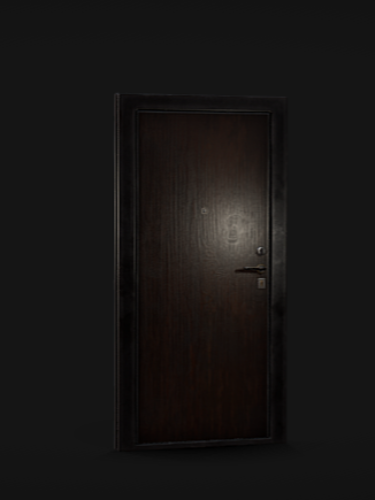 Dark Brown Door